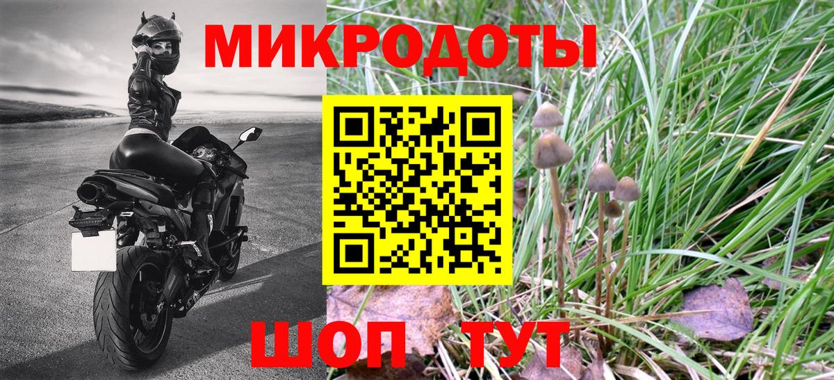 Галлюциногенные грибы Cubensis Химки