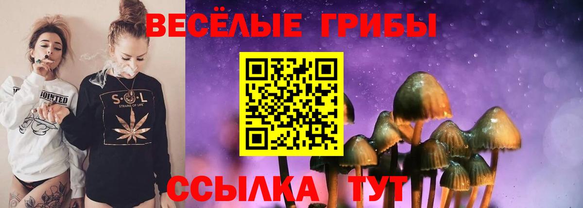 Галлюциногенные грибы GOLDEN TEACHER  Псилоцибиновые грибы MAGIC MUSHROOMS  Химки  Вход с VPN 